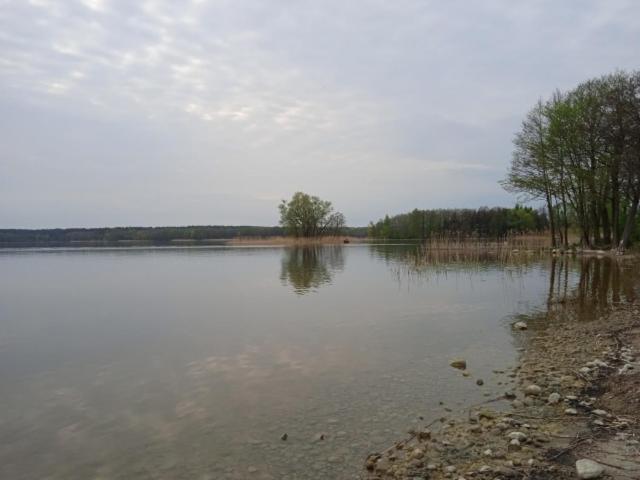 Domek Wypoczynkowy Nad Jez. Dadaj Biskupiec  Exterior foto